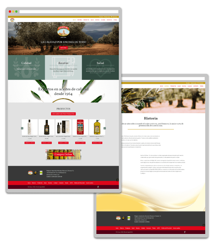 Diseño de ecommerce a medida por Mood 359