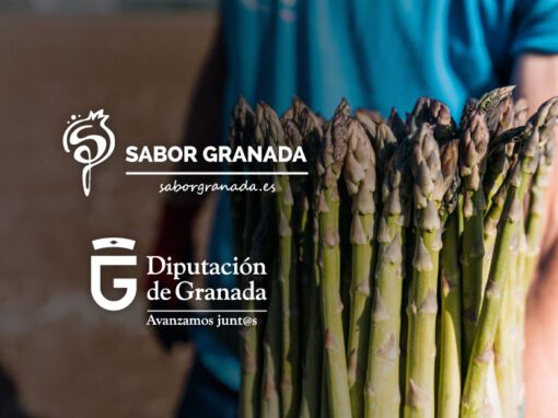Campañas Sabor Granada, Diputación de Granada Campañas Sabor Granada, Diputación de Granada
